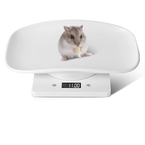 Báscula de mascotas pequeña para peso báscula de animales recién nacidos para cachorros y gatitos báscula digital LCD de cocina máx 33 libras