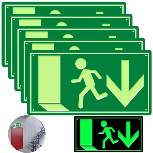 Panneau d'Issue de Secours Luminescent 300x150mm - 5 Pièces pour Voie de Secours avec Information