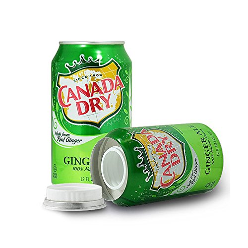 Fake Soda Can Diversion Safe Decoy Canada Dry Ginger Ale