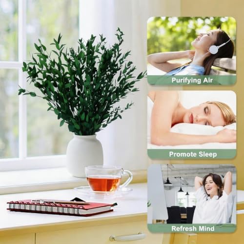 Ramas de eucalipto secas para decoración y arreglo floral miniatura 4