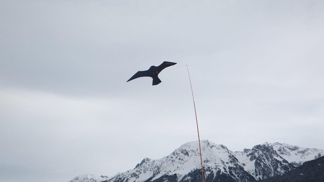Cometa espantapájaros de calidad profesional 9 METROS