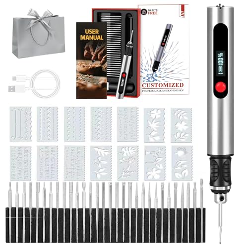 Gravion Pen, Stylo Graveur, Stylo Graveur Electrique, Le Stylo Graveur Électrique de Précision, Gravure sur Plus de 60 Surfaces, 30 Embouts, pour Artistes et Bricoleurs (Argent)