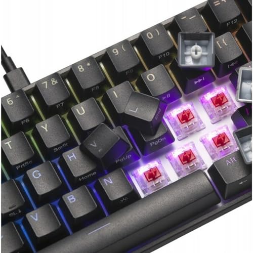 Clavier mécanique Mad Catz S9171229 noir à 61 touches USB pour le jeu PC