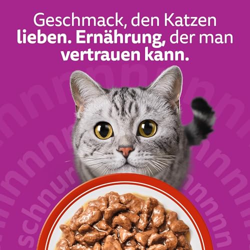 WHISKAS Nassfutter in Sauce für Katzen 84 x 85g Klassische Auswahl
