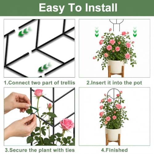 Image of Plant Trellis for Potted Plants, Trellis for Climbing Plants