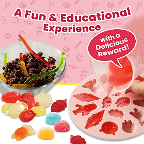 Playz Edible Candy Making Science Kit for Kids Ages 812 Years Old
