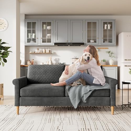 Vesgantti Sofa 2 Sitzer, 164cm Modernes 2er Sofa mit beidseitigen Taschen, Stoff couch mit 2 Kissen und Sitzkissen, Doppelsofa für Wohnzimmer, Schlafzimmer, Büro, Montage ohne Werkzeug 164L*76D*85H cm
