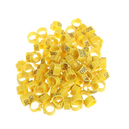 TIANQUXNGI 100-Pack 10mm Bird Leg Bands for Foot Bands Clip Rings for Chicken for Quail Poultry Multi Colo