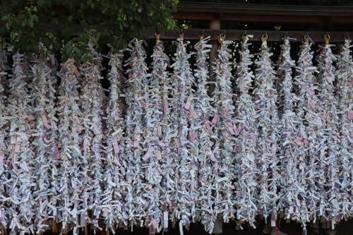 y{̕i|XgJ[hz_ސ쌧_ЂU݂ |XgJ[h͂ photo by MIRO