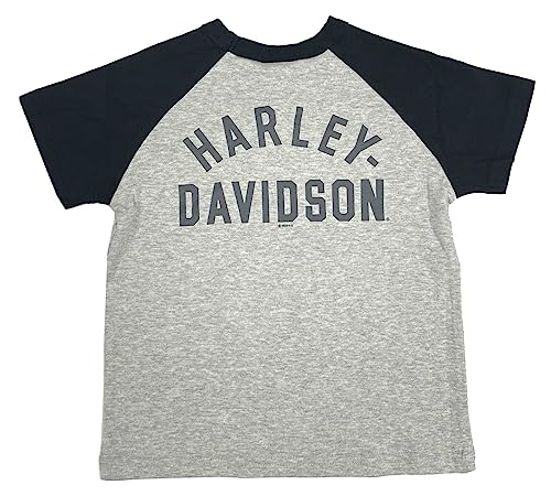 Harley-Davidson Little Boys' Colorblocked Short Sleeve Raglan Toddler Tee - Gray2