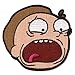 Rick and Morty - Morty Patch
