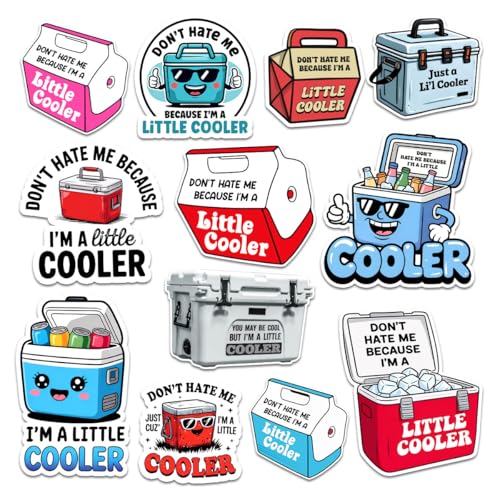 3Pcs Dont Hate Me Because Im a Little Cooler Sticker Don