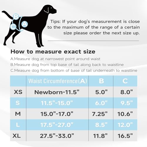 Image of Paw Legend Washable Reusable Female Dog Period Diapers for Heat Doggie Puppy Diapers for Female Dogs (3 Pack,X-Small)