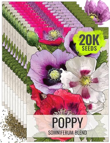 Seed Needs Mixed Somniferum Poppy Seeds for Planting - Heirloom