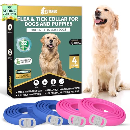 YOTANGO 4 Pack Flea Collar for Dogs, Dog Flea Collar Waterproof, 32 Months Prevention, Dog Fleas and Tick Treatment, Adjustable Fleas and Tick Protection for Dogs Puppy(Blue & Pink)