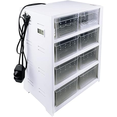 Spacious Acrylic Snake Rack System with Optimal Heating Solution
