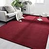 Amazon.com: FlyDOIT Area Rugs for Bedroom Living Room, 5x8 Rose Red ...