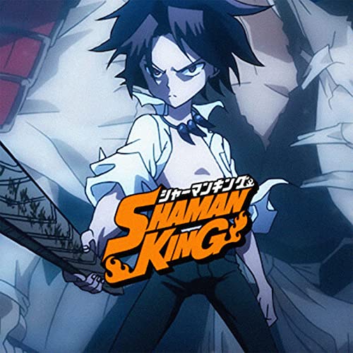 The Shaman King