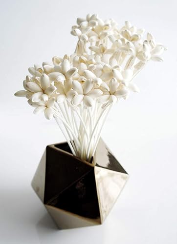 Miniatura 3 de Plawanature - Difusor de caña de 40 mini flores de jazmín de noche para el hogar Fragancia Aroma Aceite