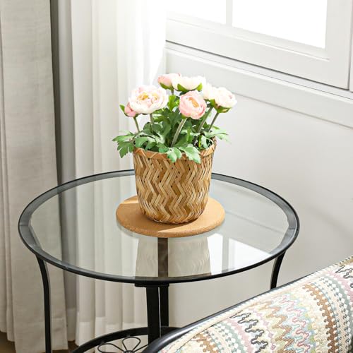 10 Pcs Cork Plant Coasters Extra Thick Plant Mats 3 Sizes Double Layers Cork Coasters 4/6/8 Inch Absorbent Saucer Trivets for Hot Dishes DIY Pads for House Plants Indoors - Image 8