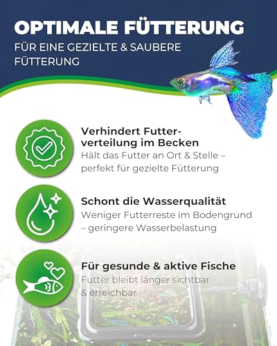 HOBBY Aquaristik Feeding Station 2 I 10 x 10 cm I Futterring für Aquarien I Futterstation für Trocken- und Lebendfutter I für gezielte und saubere Fisch Fütterung I Aquarium Zubehör