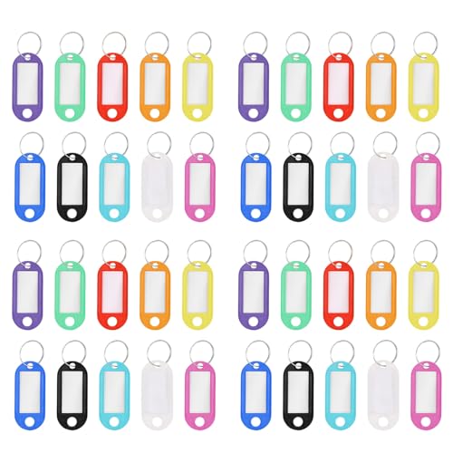 CLISPEED 50�Z�b�g �z�e���ԍ��L�[�^�O �v���X�`�b�N���L�[ID���x�� �L�[�`�F�[���^�O�t�� �ו������p ���[���L�[�Ǘ�����