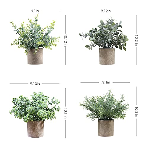 Consejos y reviews para comprar Plantas artificiales queretaro de esta semana. 8 Consejos y reviews para comprar Plantas artificiales queretaro de esta semana. 6