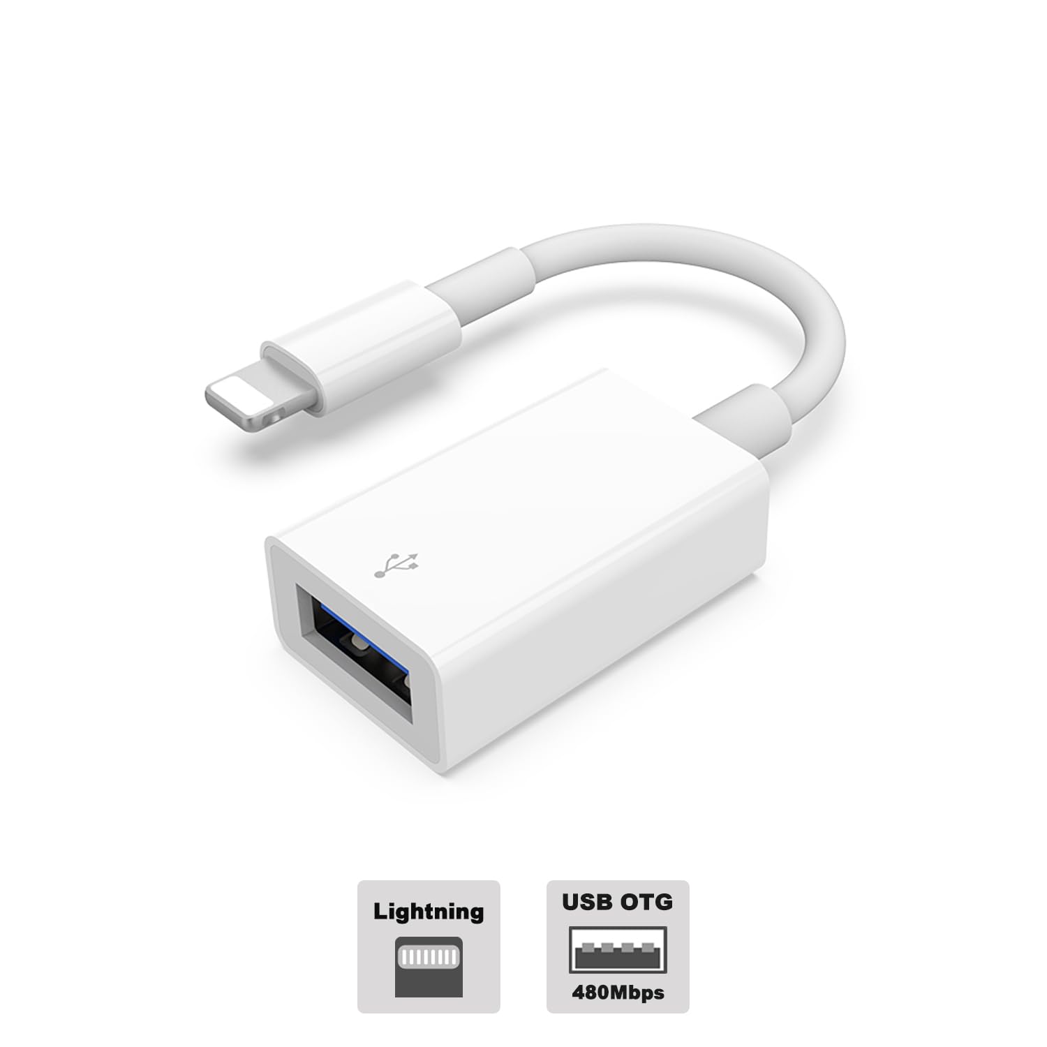 Amazon | ライトニング ミニDock 変換アダプター データ転送