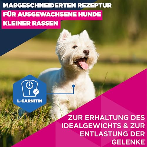 Eukanuba Hundefutter Trocken mit frischem Huhn für kleine Rassen, Premium Trockenfutter für reife Hunde, 3 kg