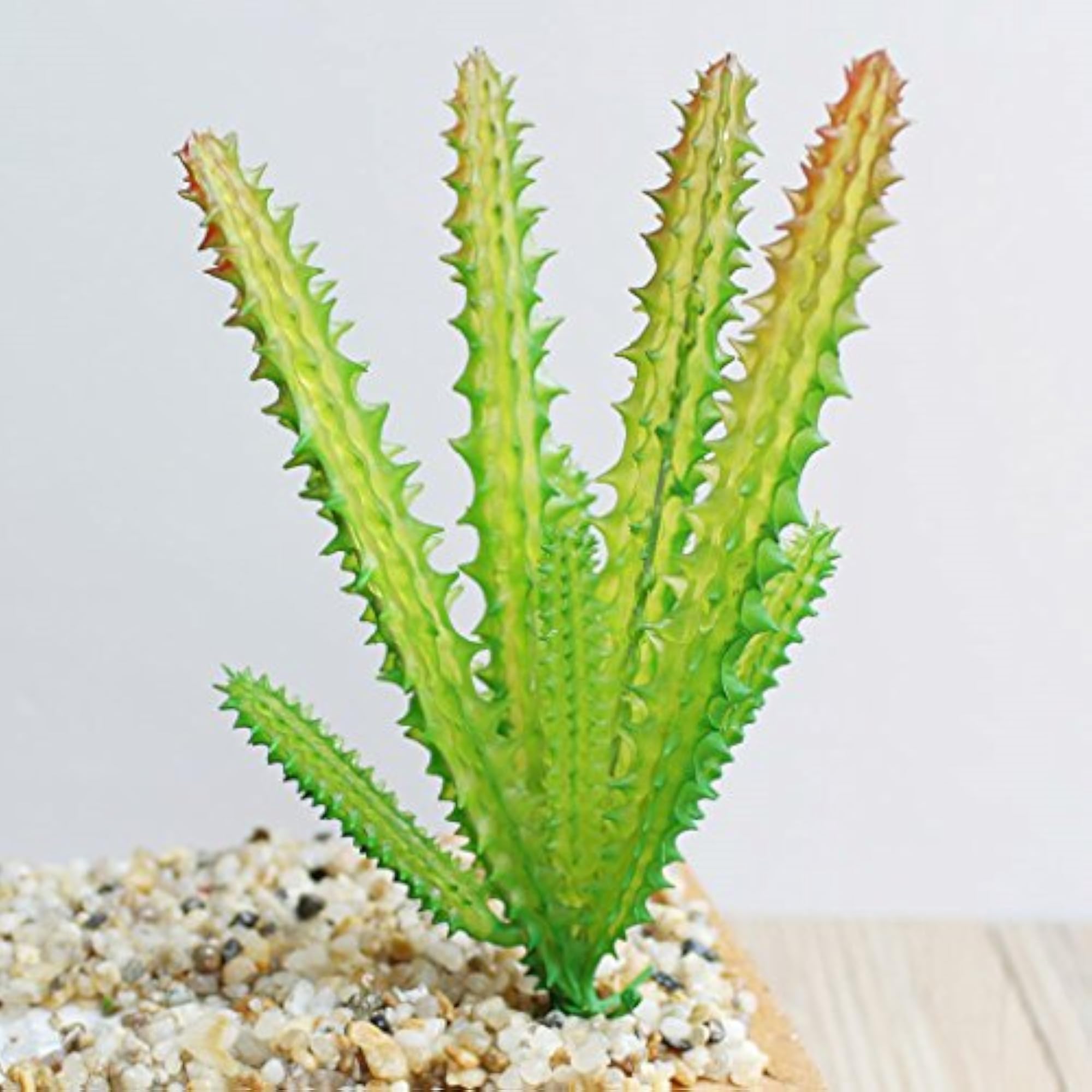 Artificial Succulent Plant Cactus Home Decor