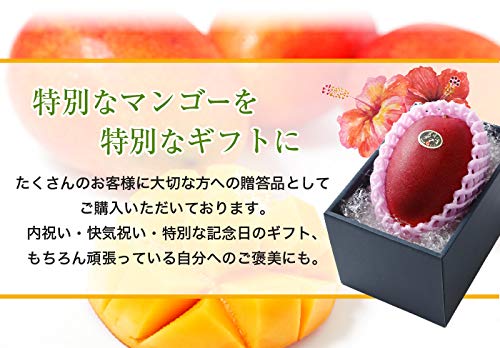 Amazon.co.jp: マンゴー 太陽のタマゴ 青秀 5L 650g以上 1玉 JA宮崎 