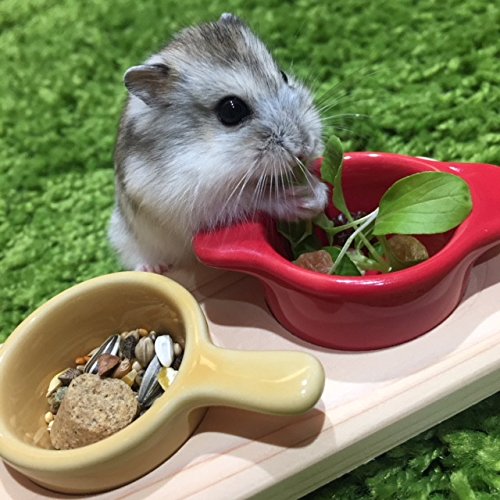 Amazon.co.jp: ハッピーホリデイ ハムスター用食器＆テーブル ハムズ