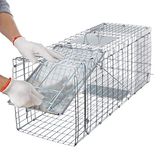 ANT MARCH Live Animal Cage Trap 32''x11.5"x13" Steel Humane Release Rodent Cage Iron Door for Rabbits, Stray Cat, Squirrel, Raccoon, Mole, Gopher, Opossum, Skunk, Chipmunks, Groundhog - Image 4