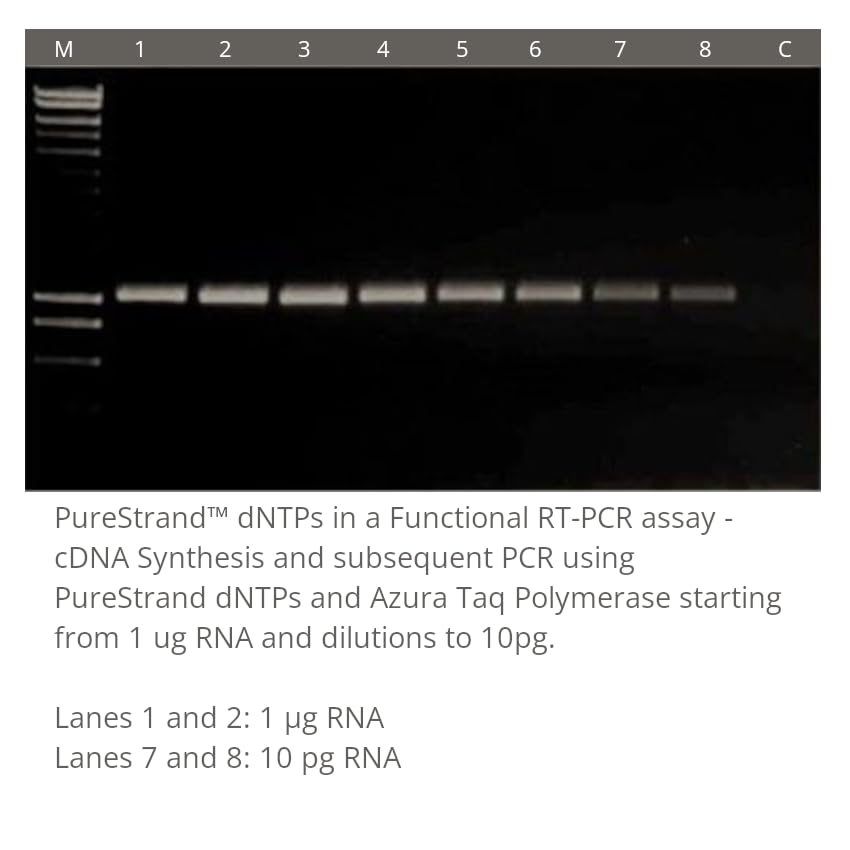 PureStrand™ 100mM dNTP Set 4 x 0.25 mL / 100 µmol