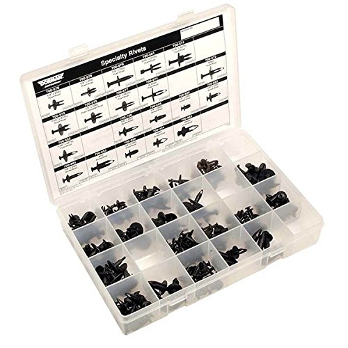 Assortment de rivets en nylon Dorman 030-728 avec coffret de 220 pieces pour fixation auto