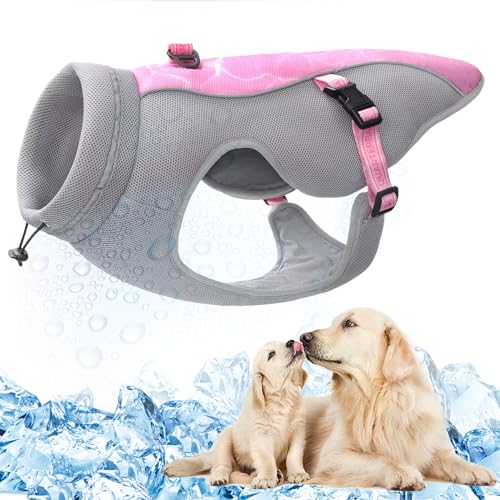 Sommer Hund Kühlweste Geschirr Atmungsaktive Mesh Hund Kühler Jacke Kühle Bequeme Hundemantel Einstellbar Mit Reflektierenden Streifen Für Kleine Mittlere Große Hunde Im Freien Laufen Wandern Klettern