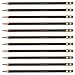 Prismacolor Col-Erase Erasable Colored Pencil BROWN Set/12