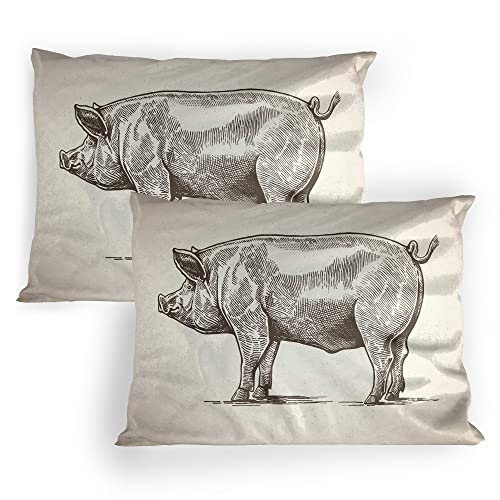 Ambesonne Pig Pillow Sham Set of 2, Vintage Hand-Drawn Illustration of Pig Rural Ranch Stockbreeding Theme, Quality Microfiber Bedding Item for All Seasons, 26