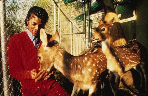 Michael Jackson: Before He Was King