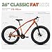 CYBIC Fat Tire Mountain Bike, 24/26 inch for Teen/Adult Men Women Cycling, 7/21 Speeds, High Carbon Steel Frame, Suspension Fork, Dual Disc Brakes, Vibrant Colors, Great Gift for Boys/Girls.
