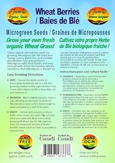 Wheat Berries Microgreen/Wheat Grass Seeds | Baies de Blé Graines de Micropousses | Organic & Non-GMO | Net Wt. 250 Grams (Approx. 6,900 Seeds) | High Germination Rate | Product of Canada