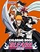 Bleach Anime Coloring Book: Featuring Vivid Illustrations Of Favorite Characters In Anime-Manga Series For Kids Children Teen Adults To Enjoy