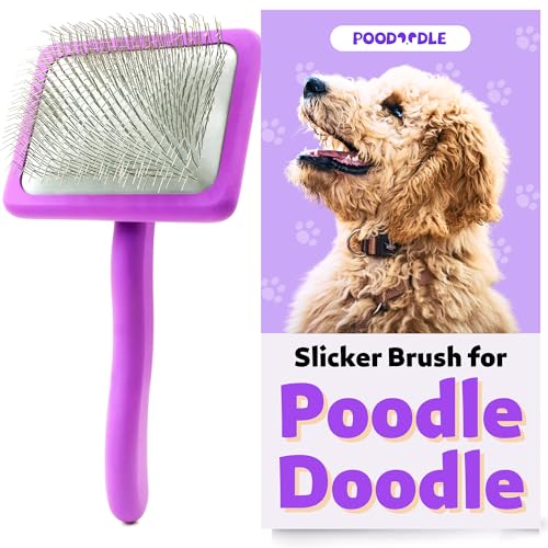 10 Best Dog Brush Labradoodle