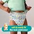Pampers Easy Ups Pull On Training Underwear Boys, 6T-7T, 2 Month Supply (2 x 70 Count) with Sensitive Water Based Baby Wipes 12X Multi Pack Pop-Top and Refill (1008 Count)