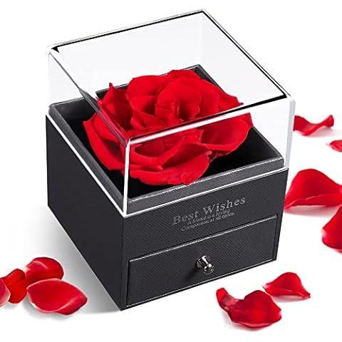 LuxFocus Eternal Flower with Necklace Valentines Day Gift Preserved Rose Forever Rose Flowers Romantic Gifts for Birthday Mothers Day Red Rose Cover