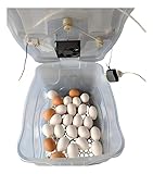 Chocadeira Pet Para 30 Ovos De Galinha ou 90 De Codorna Com Termostato Resistência E Cooler