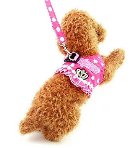 selmai Puppy klein Katze Mädchen Hund Vest Dots Harness Leine-Set Mesh Gepolsterte kein Ziehen Blei