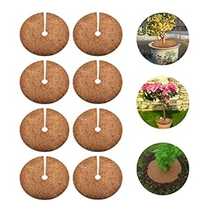 DAWRIS 8 stuks kokosschijven, kokosmat, potafdekking, plantenbescherming, winterbescherming, kokosschijf voor planten…