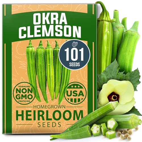 HOME GROWN Non GMO Clemson Spineless Okra Seeds 101+ Heirloom Vegetable Seeds for Planting Easy to Grow Outdoor Summer Garden High Germination Rate (Abelmoschus esculentus)