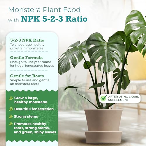 Monstera Growth Power-Duo Bundle – Silica Strength + Plant Food miniatura 7